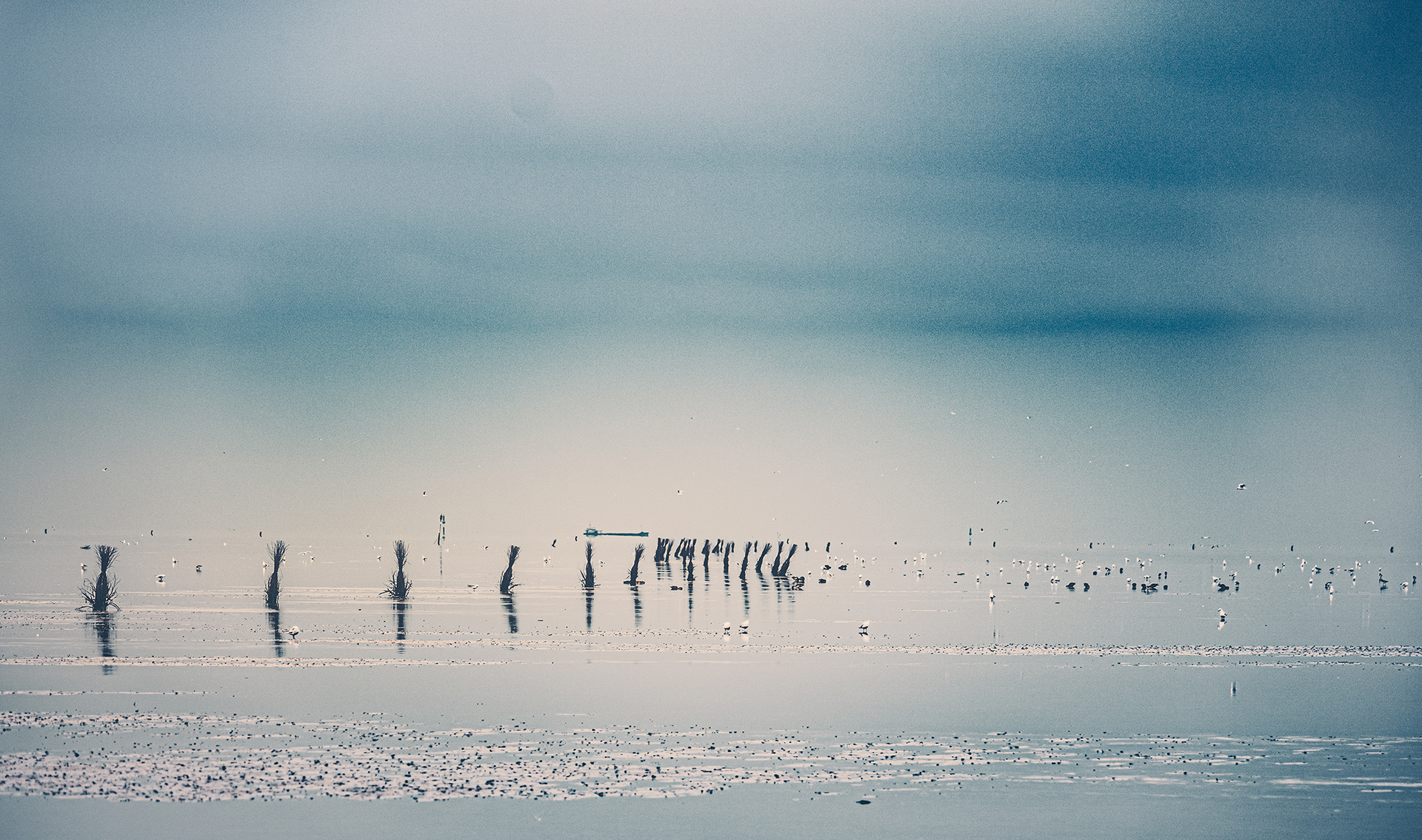 Wattenmeer bei Cuxhaven